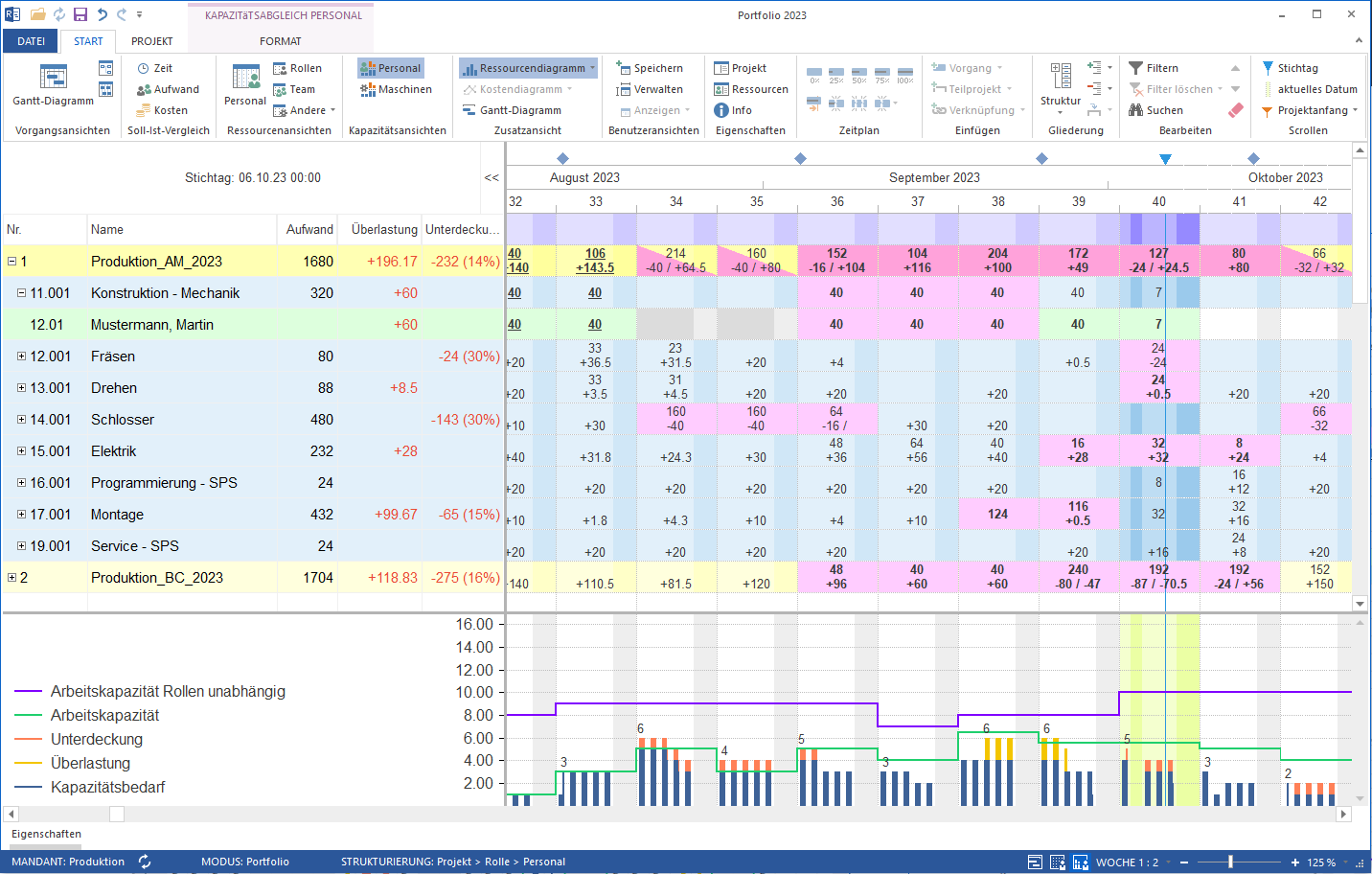 Projektübergreifende Ressourcenauslastung Software